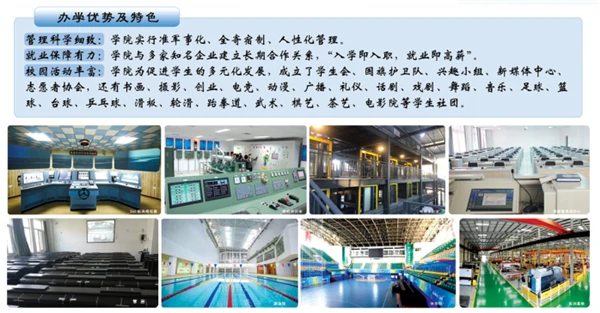 为什么<a href=